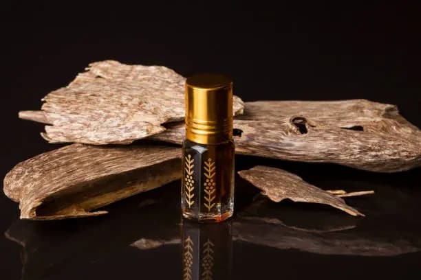 عطور العود للمبتدئين: دليلك لاختيار العطر المناسب وارتدائه